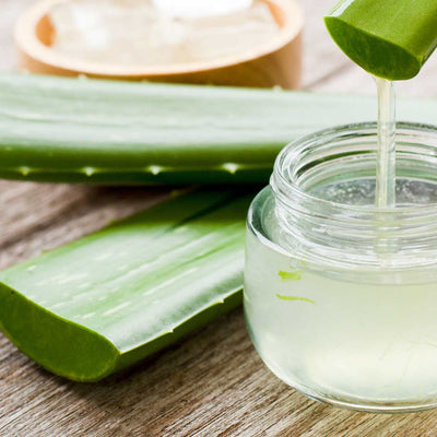Les vertus du masque à l’aloé vera pour les cheveux bouclés !